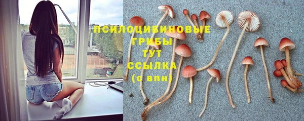MDMA Premium VHQ Заводоуковск