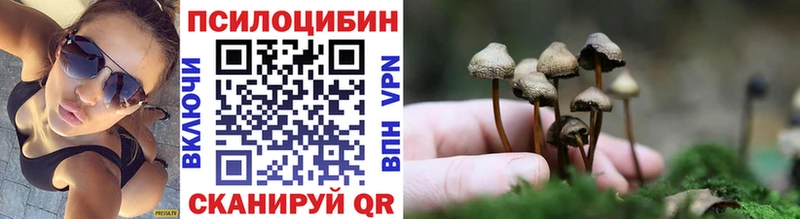 Галлюциногенные грибы GOLDEN TEACHER  купить наркоту  Краснодар 